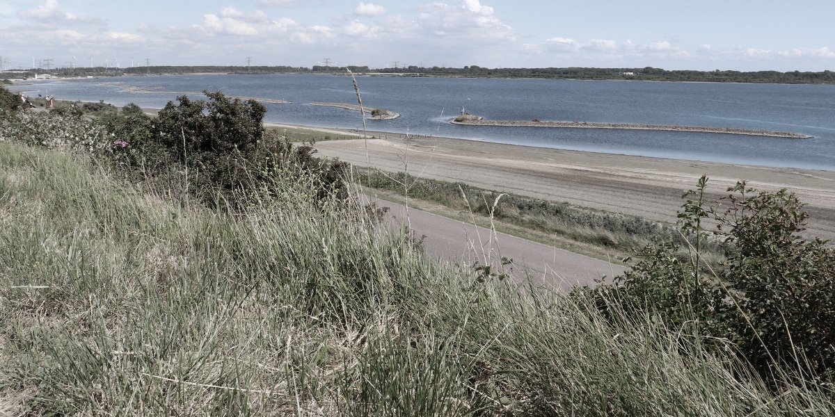 Fieldlab Westvoorne Oostvoornse Meer